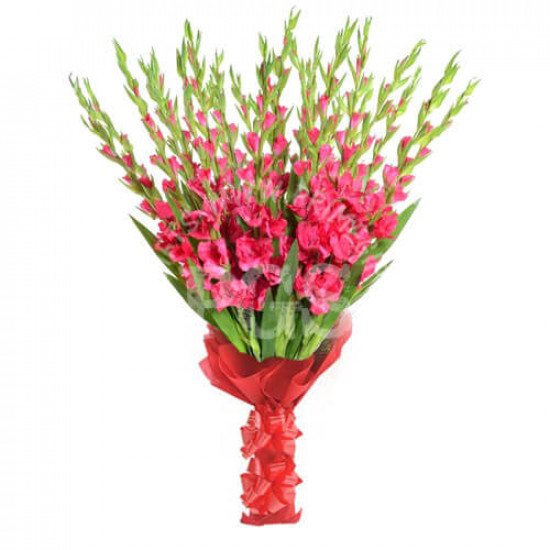 12 Pink Gladiolus Bouquet
