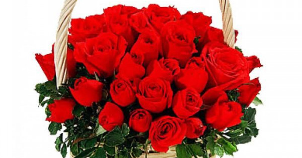 Send 100 Red Roses Basket to Pakistan | PrimeFlowersPK