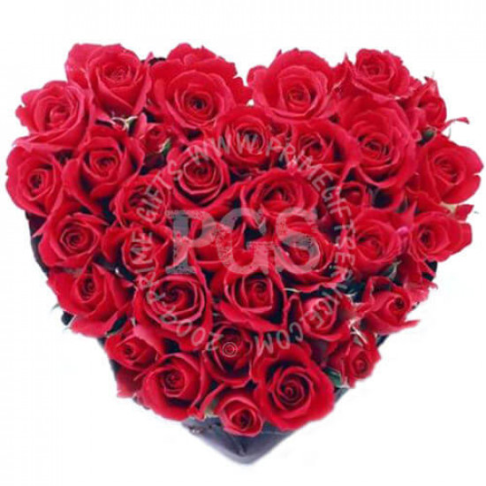 Red Rose Heart