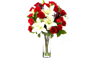 Fresh Flowers Delivery in Pakistan