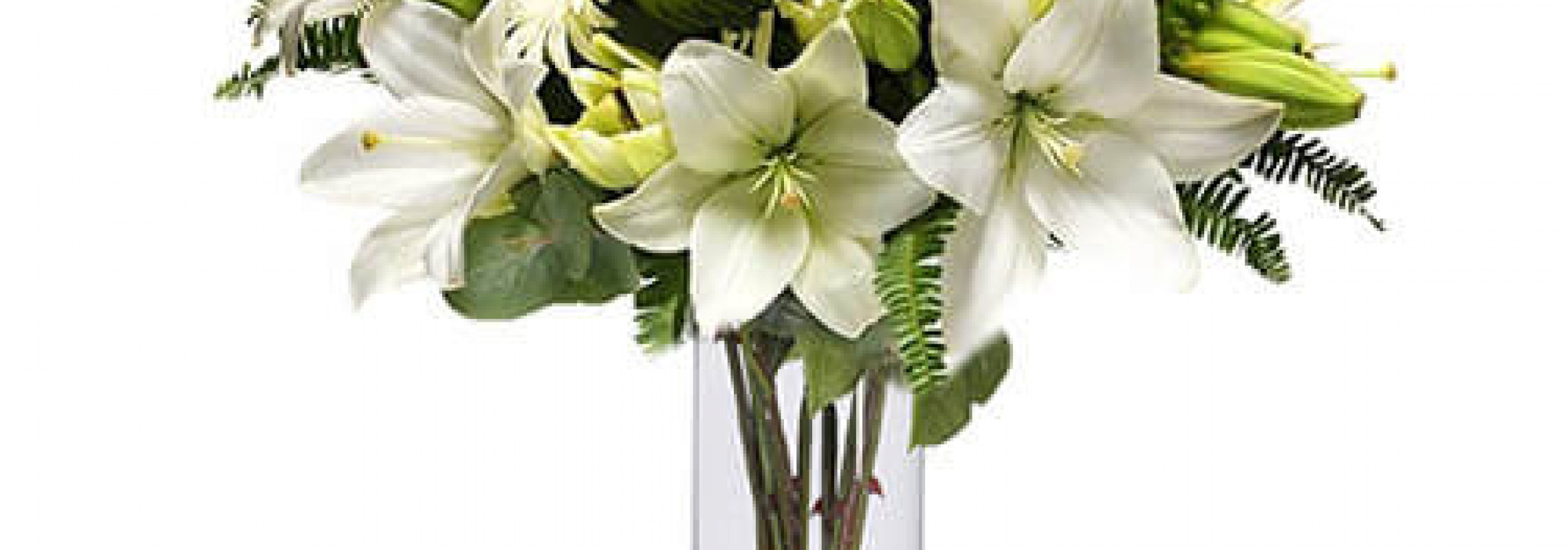 Meaning of Observing Flowers in our Dreams PrimeGifts Blog