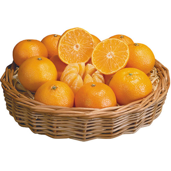 Fresh Oranges 7-8Kg