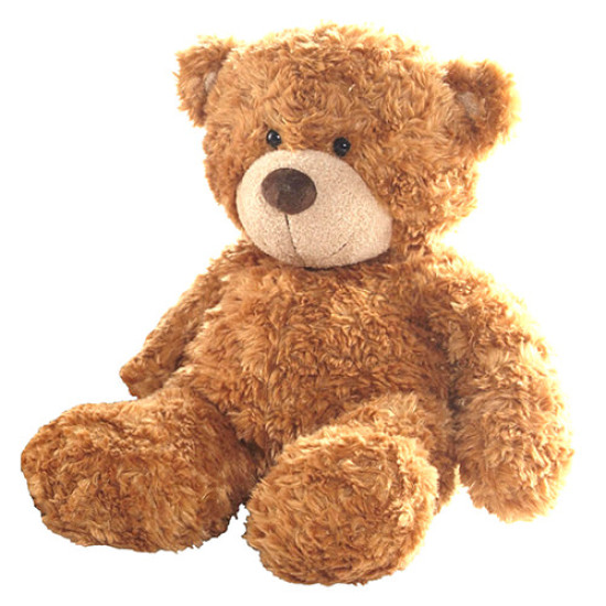 Brown Teddy Bear