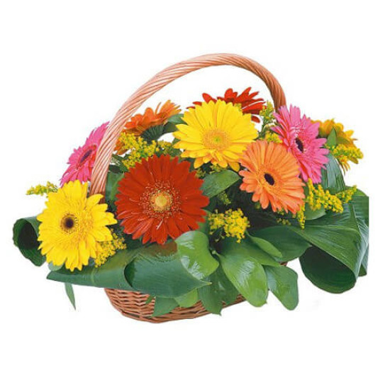 Happy Days Gerbera Flowers Basket Happy Days Gerbera Flowers Basket