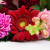 Sending Flowers not Required any Reason