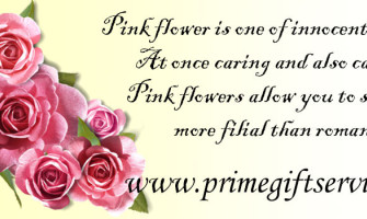Pink Flowers to Pakistan - Flowers History with Pictures Pink Flowers to Pakistan - Flowers History with Pictures