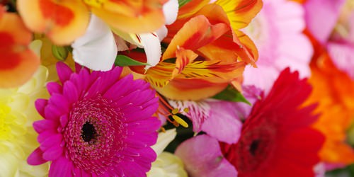 Send Birthday Flowers to Pakistan